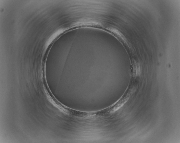 X0000070341038200606231527