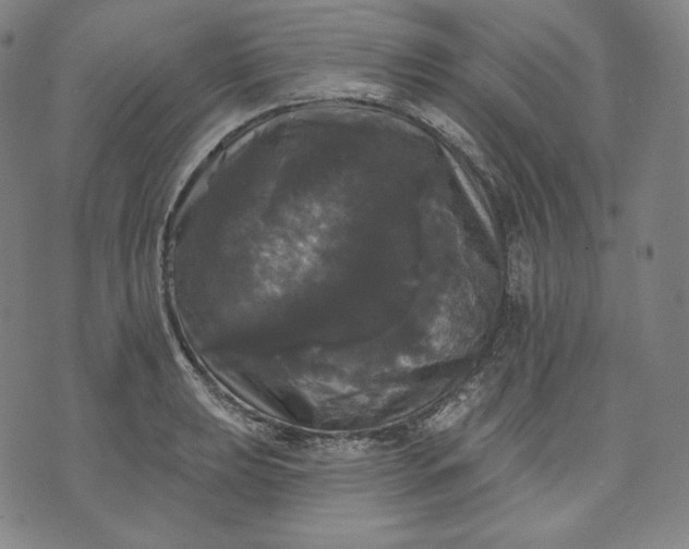 X0000070341039200606231527