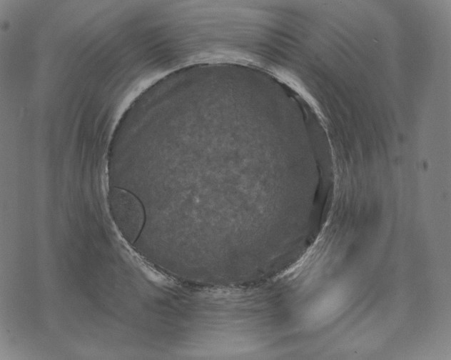 X0000070341040200606231527