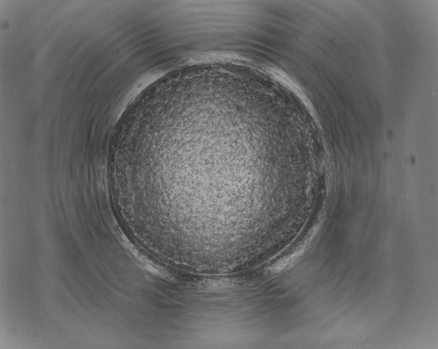 X0000070341041200606231527