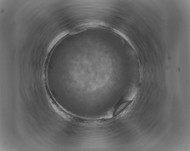 X0000070341042200606231527