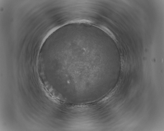 X0000070341044200606231527