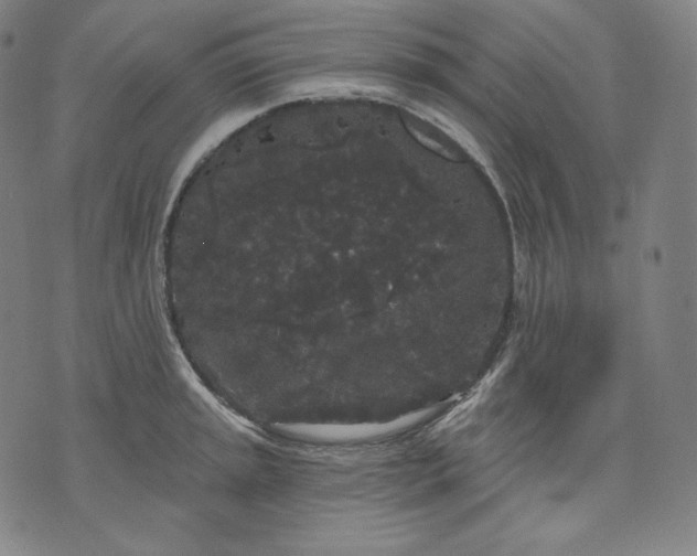 X0000070341045200606231527