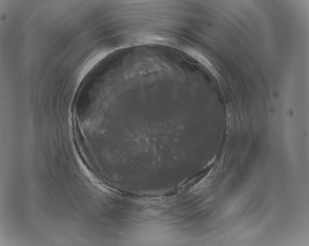 X0000070341047200606231527