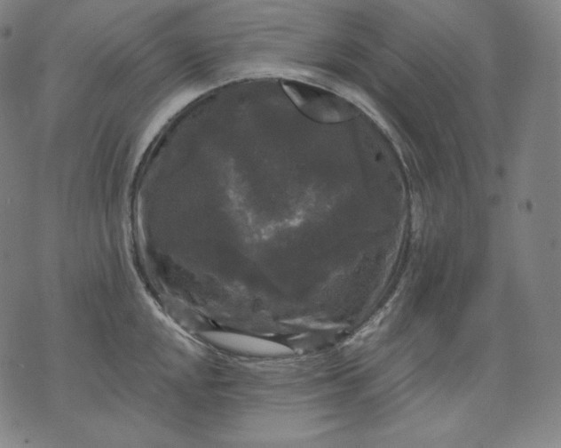 X0000070341048200606231527