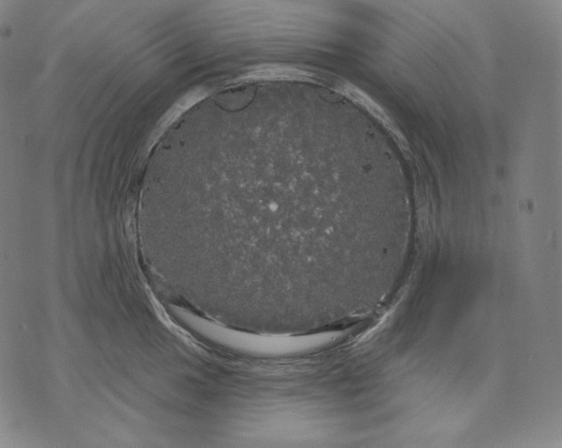 X0000070341049200606231527