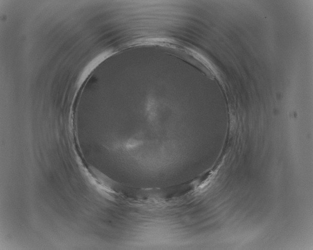 X0000070341050200606231527