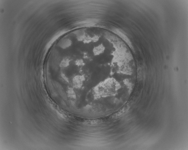 X0000070341051200606231527