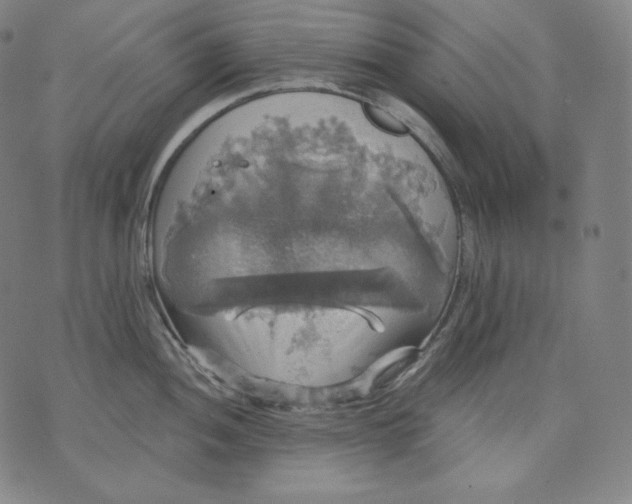 X0000070341052200606231527