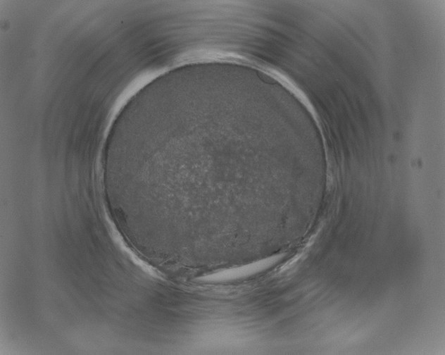 X0000070341053200606231527