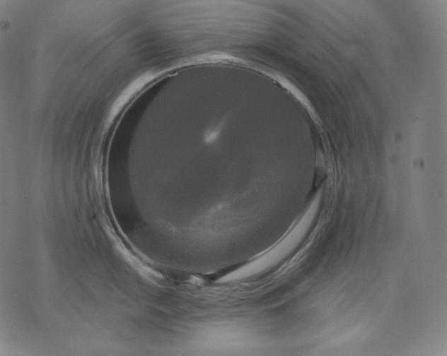 X0000070341054200606231527