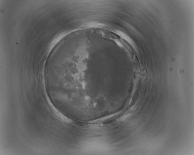 X0000070341055200606231527