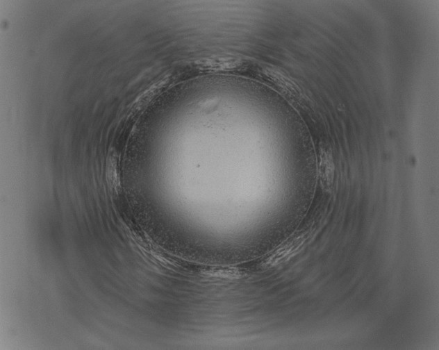 X0000070341058200606231527