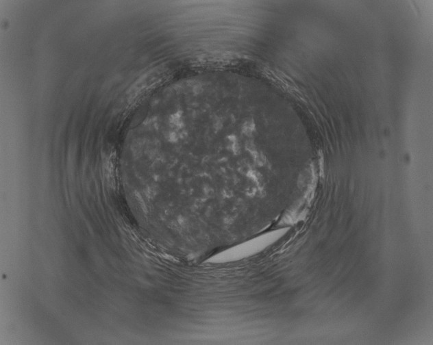 X0000070341059200606231527