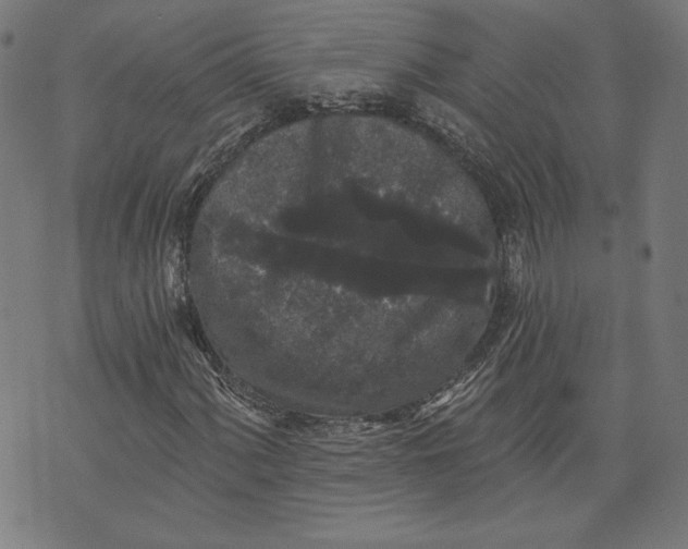 X0000070341060200606231527