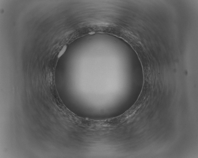 X0000070341061200606231527