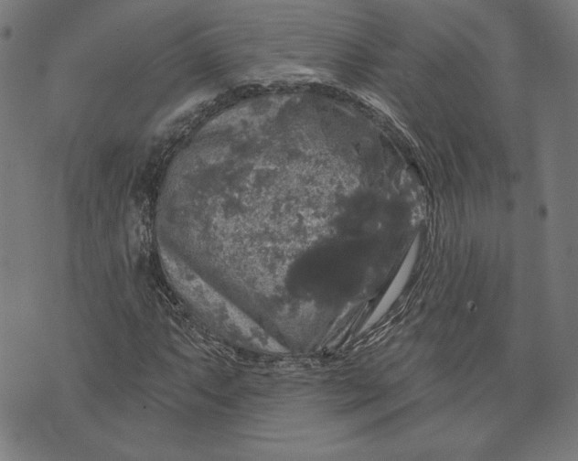 X0000070341063200606231526