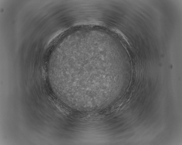 X0000070341064200606231526