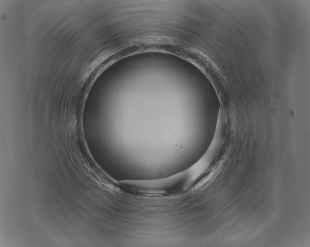 X0000070341065200606231526