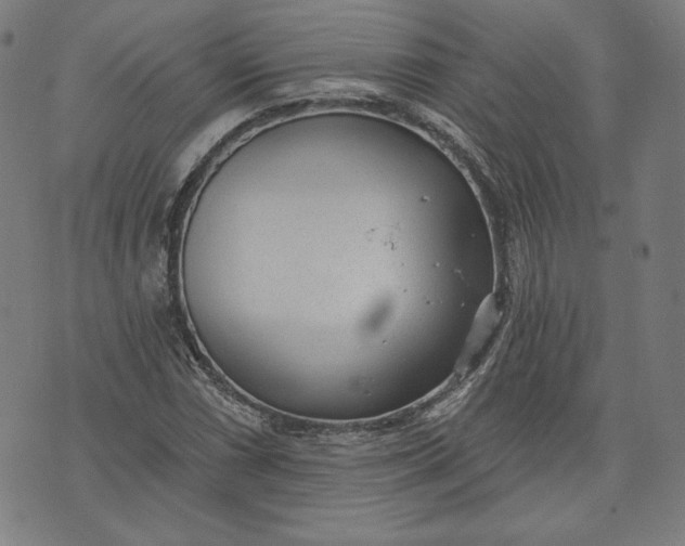 X0000070341066200606231526