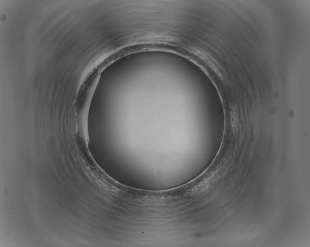 X0000070341069200606231526