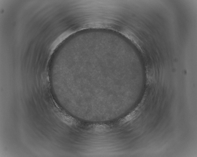 X0000070341070200606231526