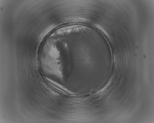 X0000070341071200606231526