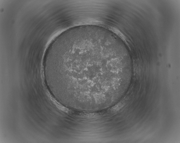 X0000070341072200606231526