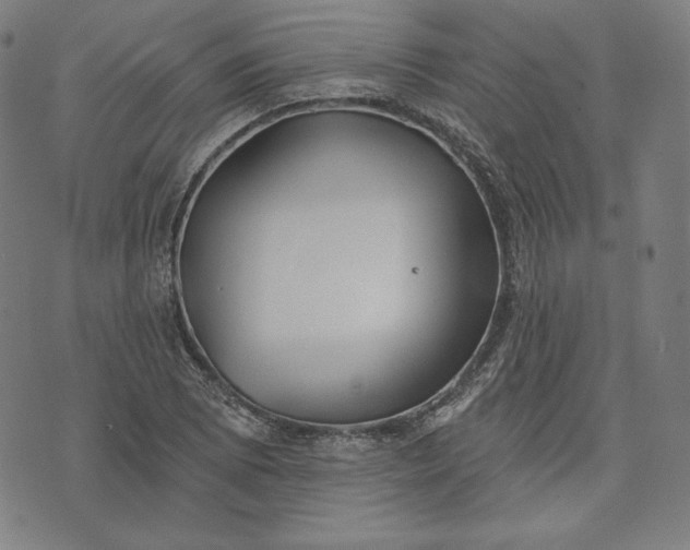 X0000070341073200606231526