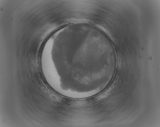 X0000070341074200606231526