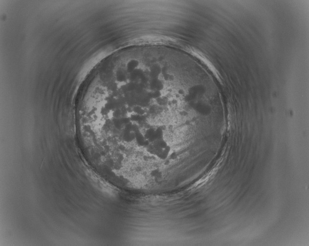 X0000070341075200606231526