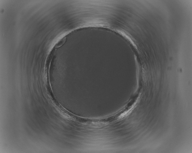 X0000070341077200606231526