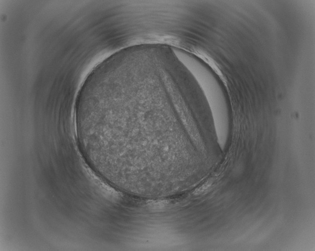 X0000070341080200606231526