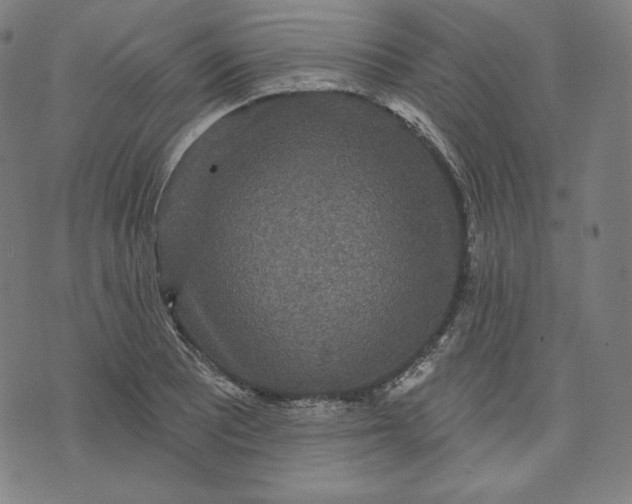 X0000070341081200606231526