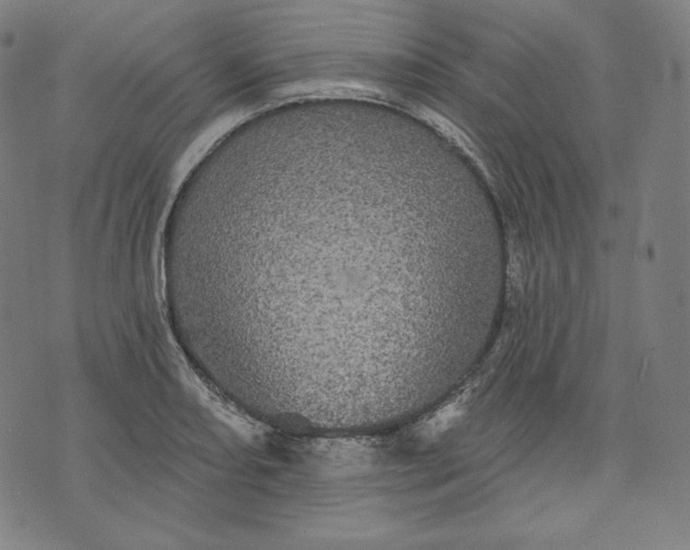 X0000070341082200606231526