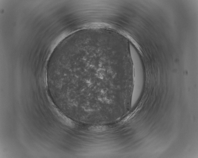 X0000070341083200606231526