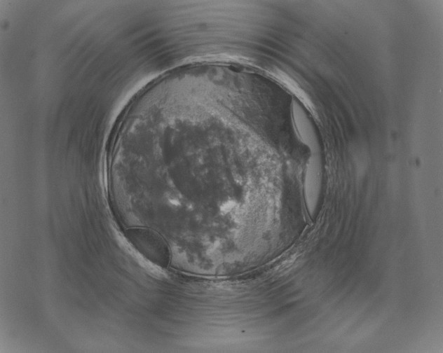 X0000070341084200606231526