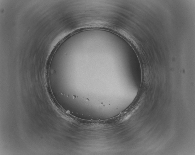 X0000070341085200606231526