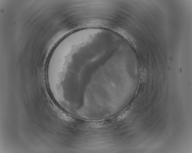 X0000070341086200606231526