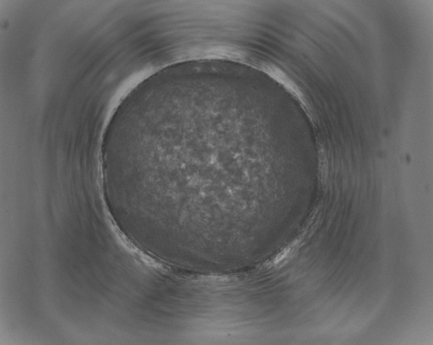 X0000070341088200606231526