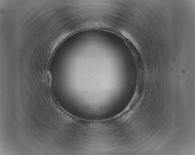 X0000070341089200606231526