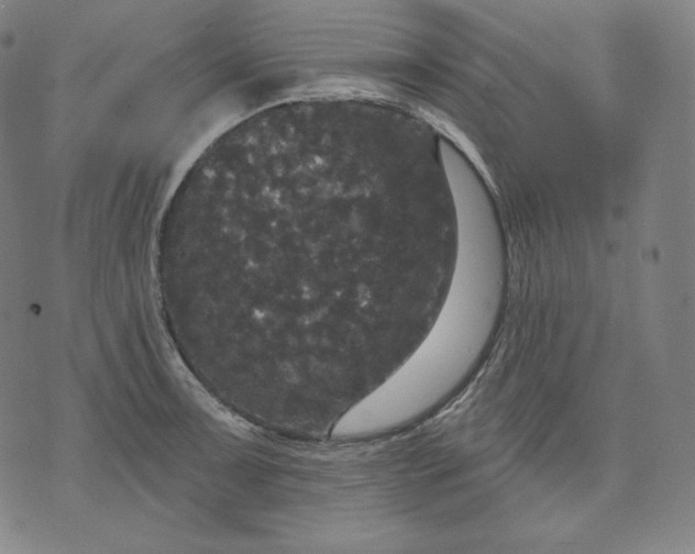 X0000070341091200606231526