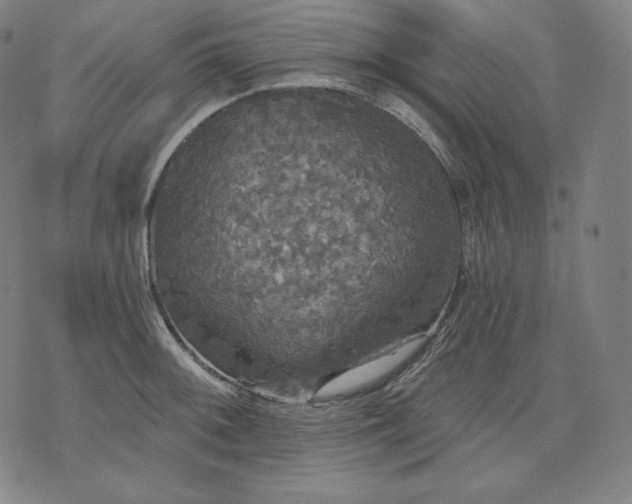 X0000070341092200606231526