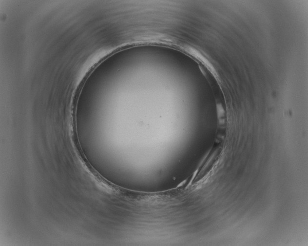 X0000070341093200606231526