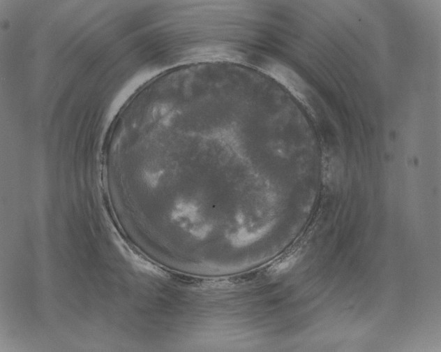 X0000070341094200606231526