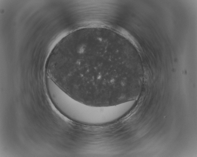 X0000070341095200606231526