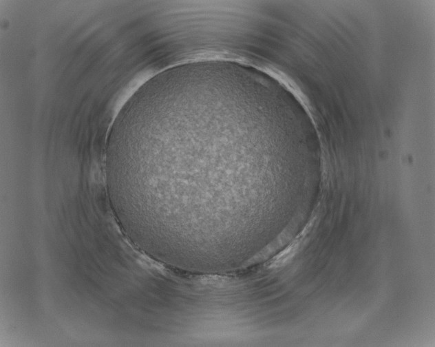 X0000070341097200606231526