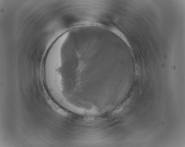 X0000070341098200606231526