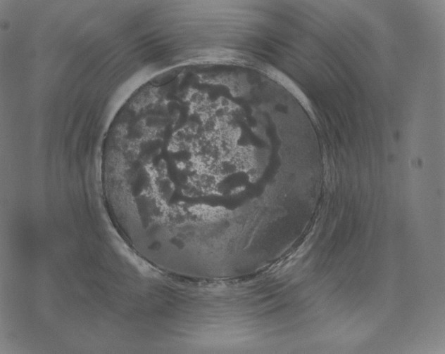 X0000070341099200606231526