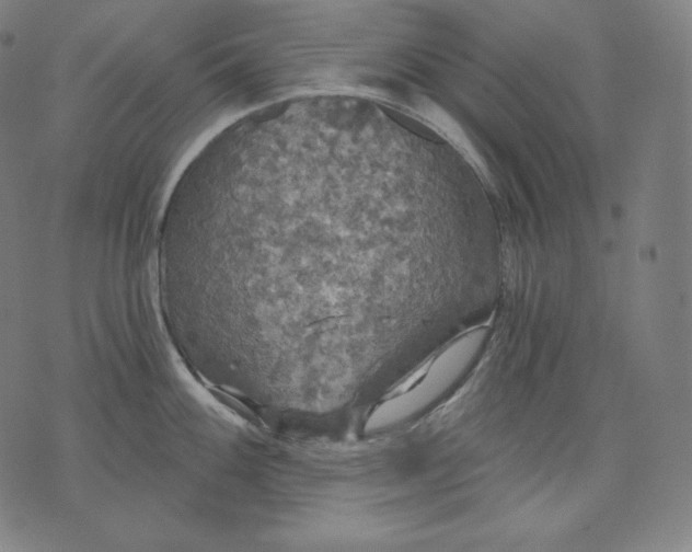 X0000070341100200606231526